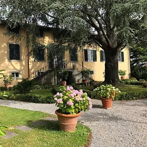 Leoni Capannori